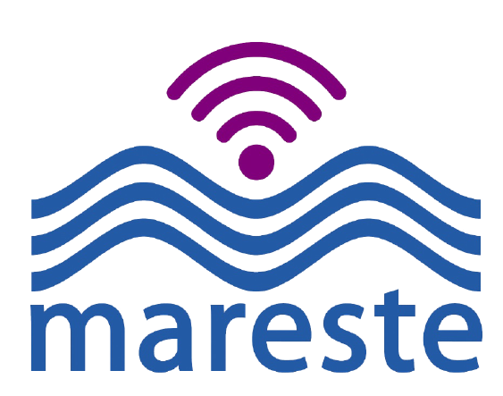 mareste-removebg-preview